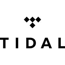 tidal icon